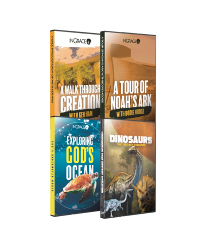 Creation Bundle - 50% off
